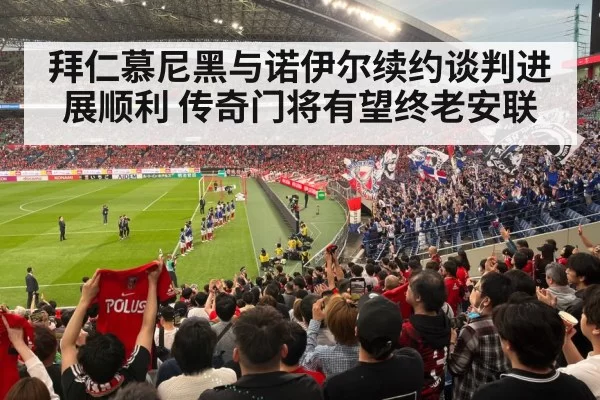 football stadium fans