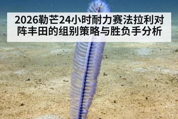 2026勒芒24小时耐力赛法拉利对阵丰田的组别策略与胜负手分析